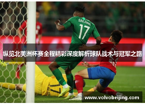 纵览北美洲杯赛全程精彩深度解析球队战术与冠军之路